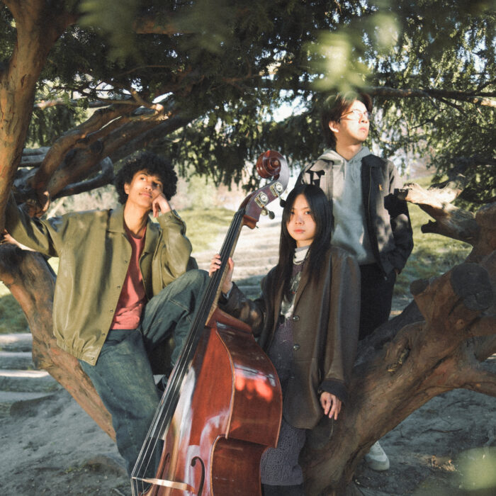 9Night - Sunset Sunside